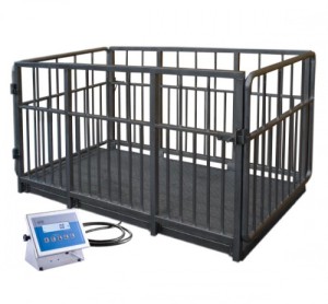 Cân chăn nuôi H315.4I.2000.S3