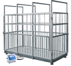 Cân chăn nuôi H315.4I.2000.H2