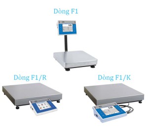 WPY 3/F1 Cân đa năng